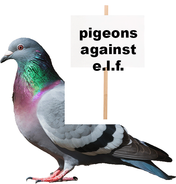 pigeons against e.l.f.
